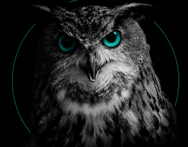 EST Integrata Partnerschaft